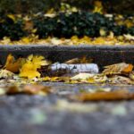 ** Jakie są długoterminowe korzyści finansowe budżetowania zero-waste w kuchni? - 5 2025