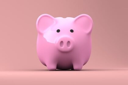 Inwestowanie dla początkujących: Od zera do bohatera – bezpieczny start w świecie finansów - 11 2025