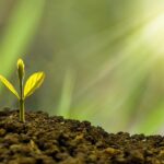 Zero waste w kuchni: Oszczędzanie pieniędzy i planety – praktyczny przewodnik - 7 2025