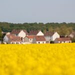 Paniówki Biały Dom – czego się spodziewać i jak mogą wpłynąć na Twoje planowanie emerytalne - 7 2025