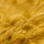 Skup Złota w Krakowie: Wszystko, co Musisz Wiedzieć - 3 2025