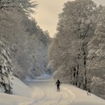 Wszystko, co musisz wiedzieć o certyfikacji IRATA - 5 2025